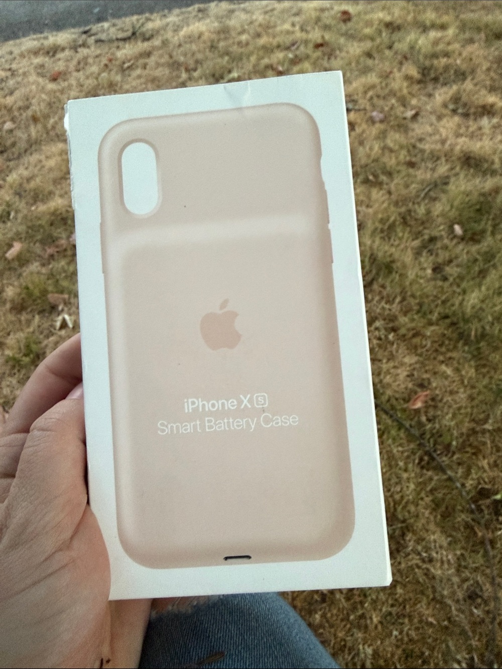 Apple iPhone XS Smart Battery Case - Blush Pink